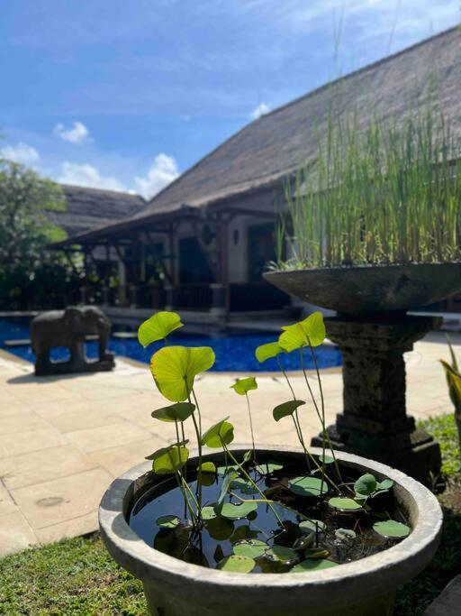 Bali Berg Villa, Sanur Exterior photo